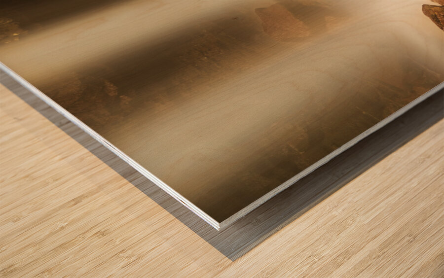 Douglas Falls near Blackwater Canyon trail near Thomas WV Wood print