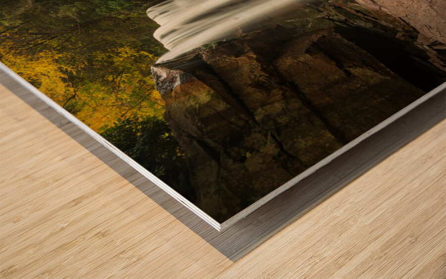 Douglas Falls near Blackwater Canyon trail near Thomas WV Wood print