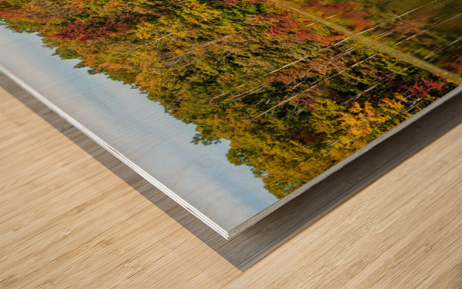 Fall leaves and metal pier in Coopers Rock State Forest in WV Wood print