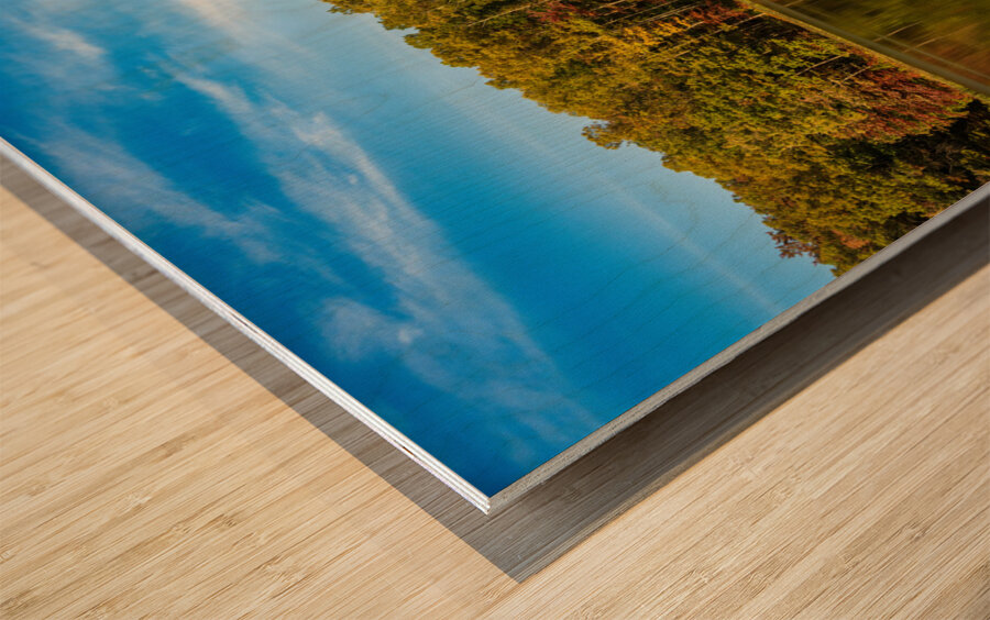 Fall leaves surround reservoir in Coopers Rock State Forest in W Wood print