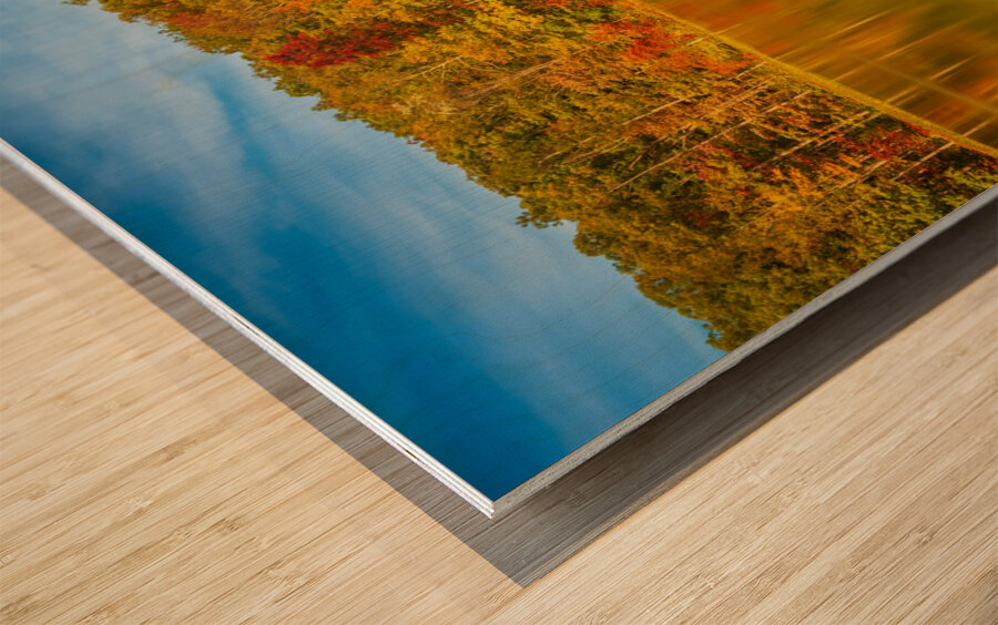 Fall leaves and metal pier in Coopers Rock State Forest in WV Wood print