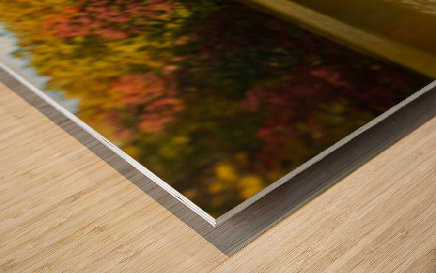 Detail of rusty metal pipe with fall leaves in Coopers Rock in W Impression sur bois