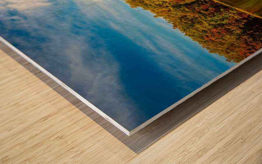 Fall leaves surround reservoir in Coopers Rock State Forest in W Impression sur bois