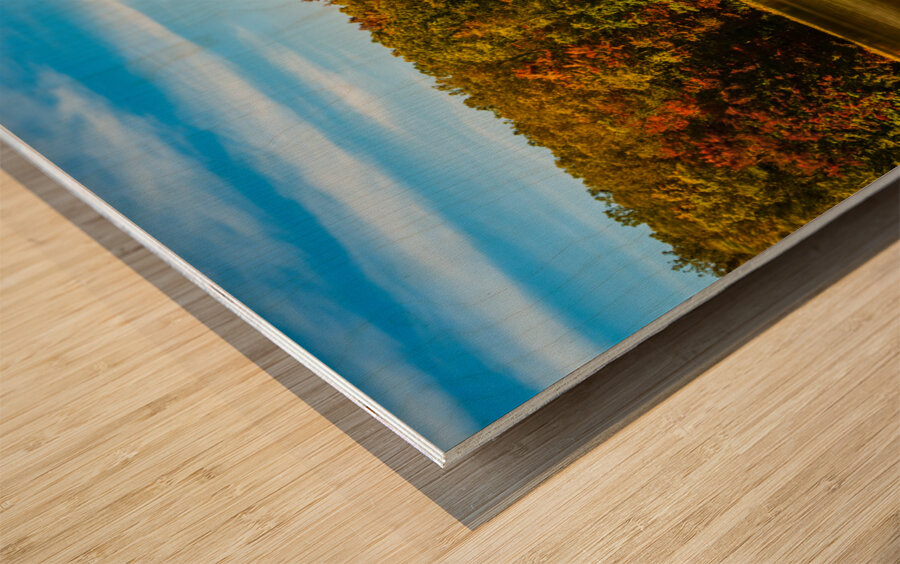 Fall leaves surround reservoir in Coopers Rock State Forest in W Impression sur bois