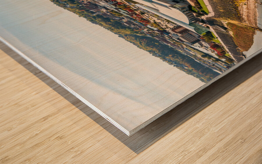 Historic brewery and convention center in Dubuque Iowa Wood print