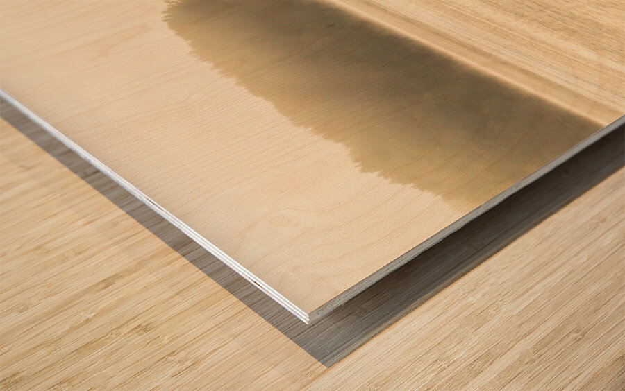 Fisherman fishing in Mississippi river on misty autumn morning Wood print