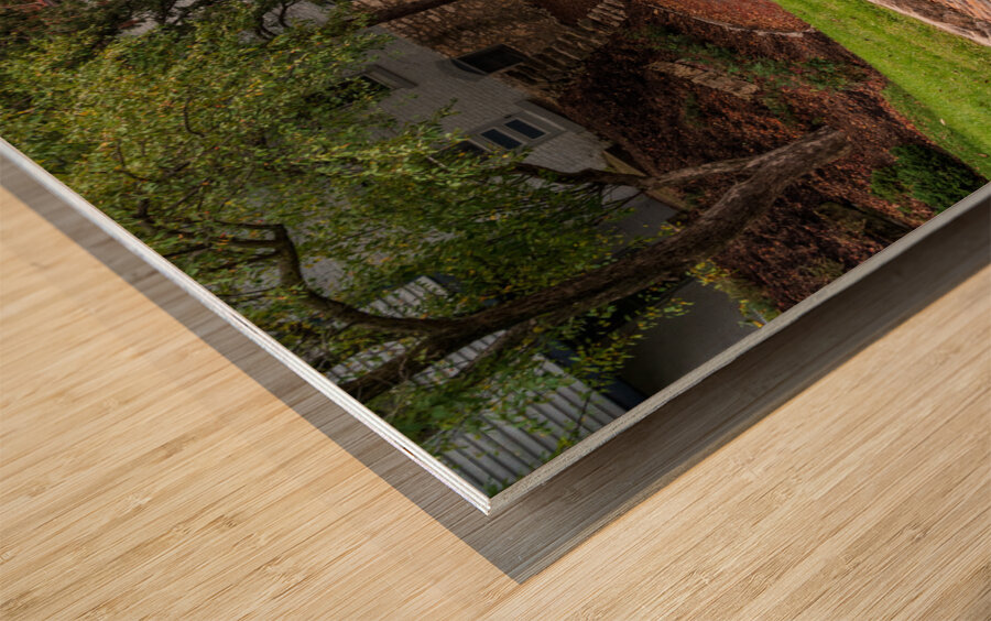 Pattern of bricks on Snake Alley in Burlington Iowa Wood print