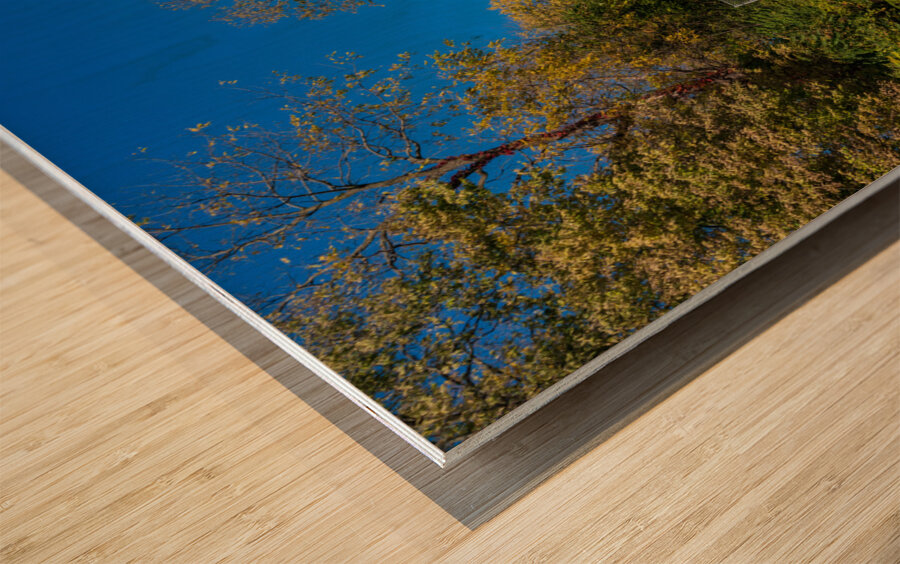 Mark Twain memorial lighthouse in Hannibal Missouri Impression sur bois