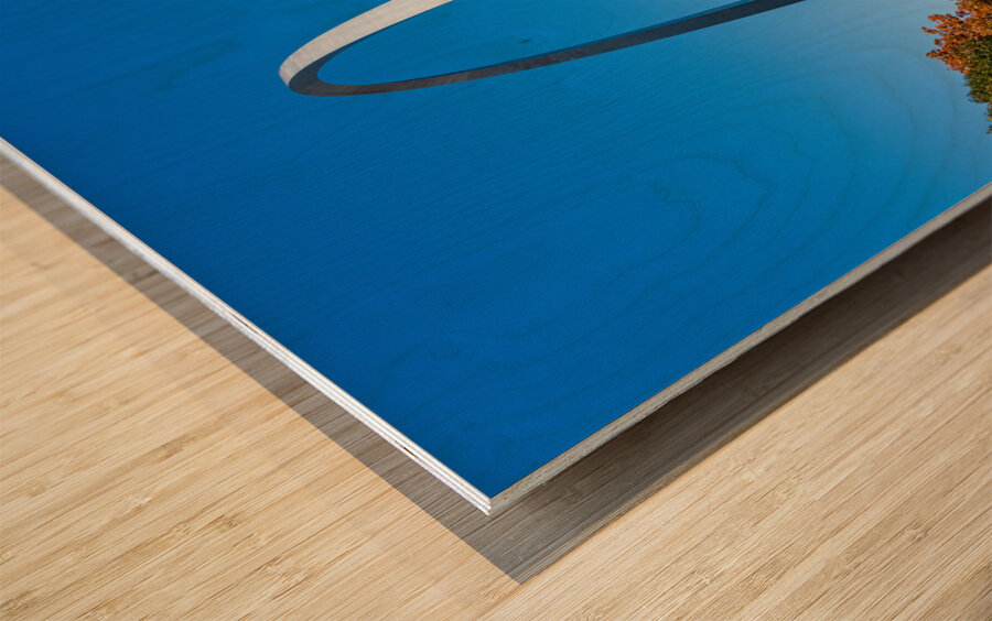 Gateway Arch of St Louis Missouri from the park and lake Wood print