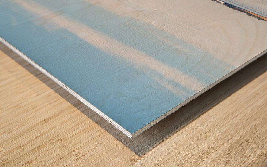 New Madrid power station above sand banks of Mississippi river i Wood print