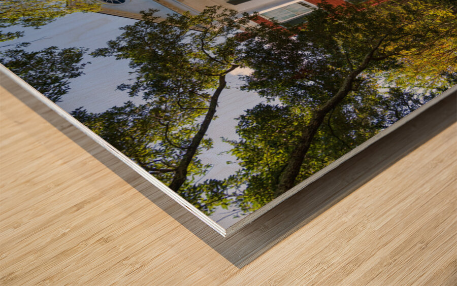 Facade of antebellum home in Natchez in Mississippi Wood print