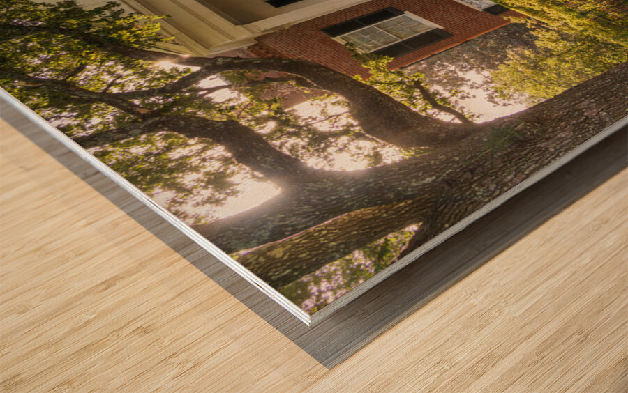 Facade of antebellum home in Natchez in Mississippi Wood print