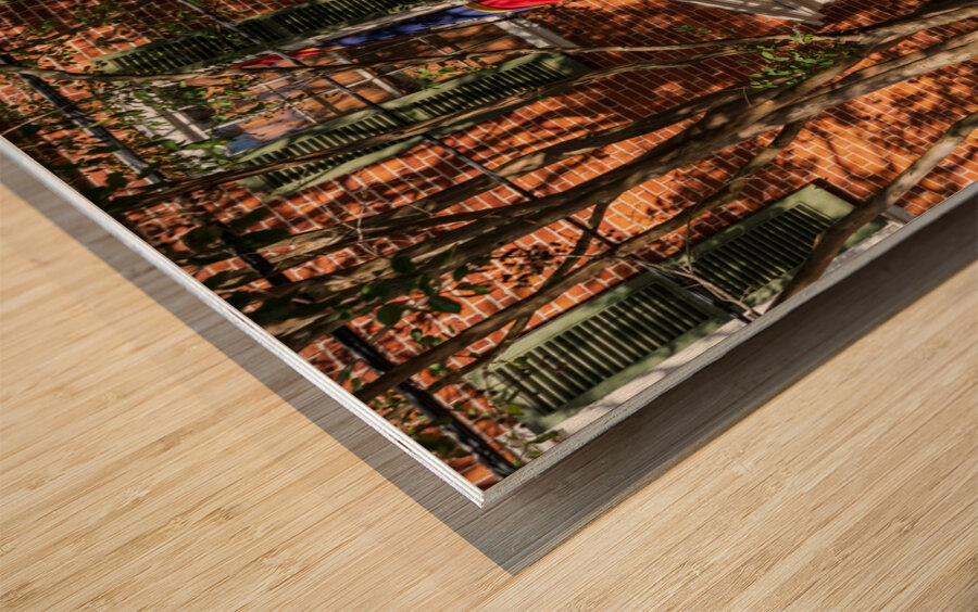 Oldest brick house in Natchez in Mississippi used as Capitol bui Wood print