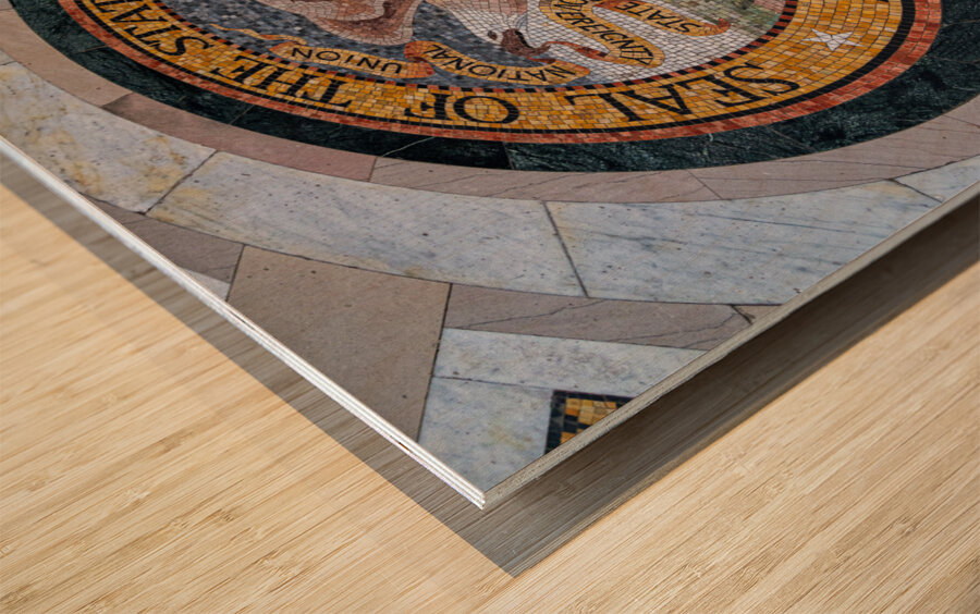 Great Seal of Illinois in memorial for the Vicksburg siege in Mi Wood print