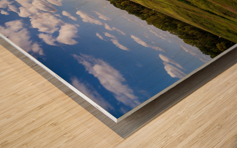 Battlefield in National Park for the Vicksburg siege in Mississi Wood print