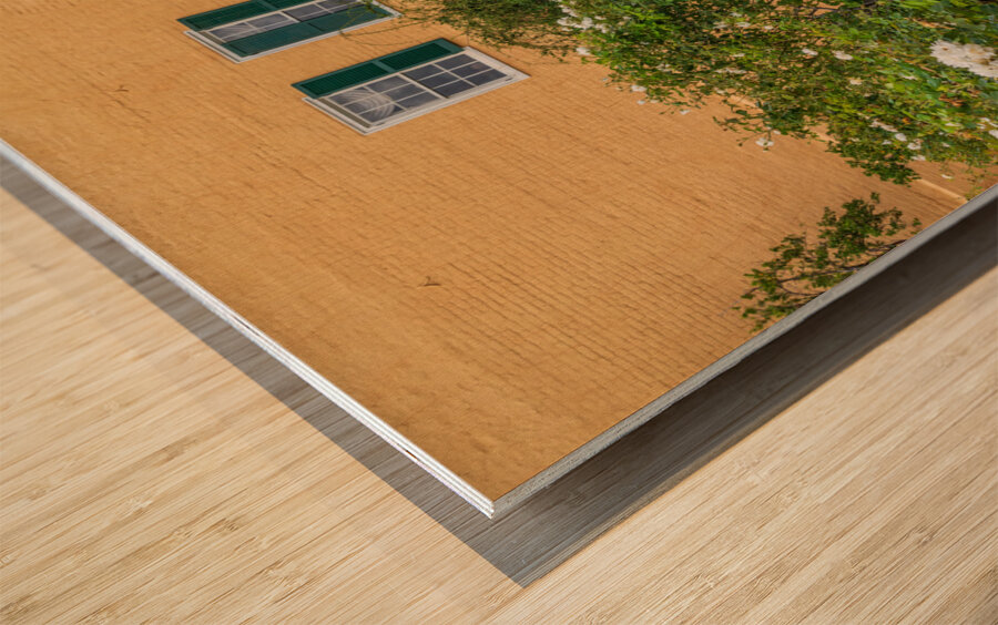 Small tree filled garden in French Quarter of New Orleans Wood print