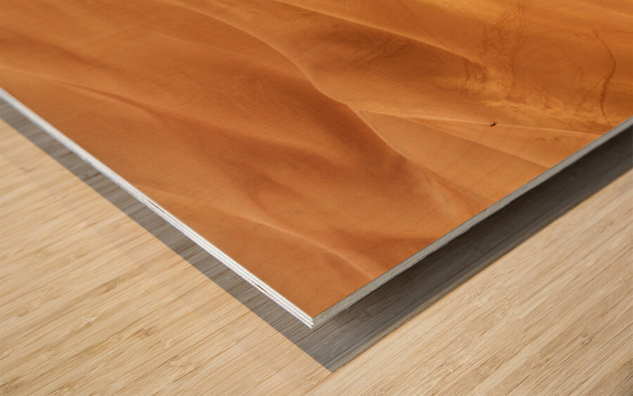 People on Great Sand Dunes NP  Wood print