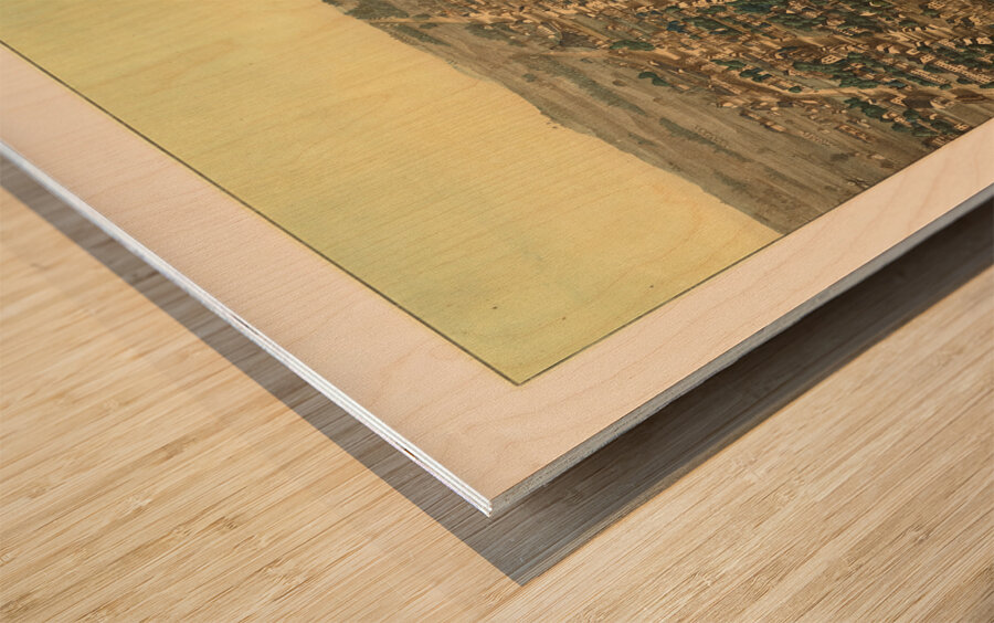 Restored birds eye view of street plan of Alexandria VA 1863 Wood print