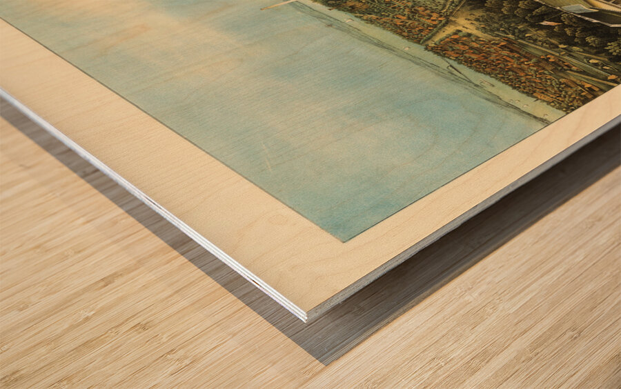 Low-angle birds-eye view of central Washington DC from 1871 Wood print