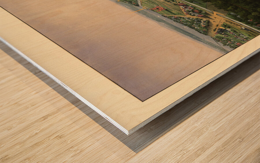 Low-angle birds-eye view of central Washington DC from 1852 Wood print