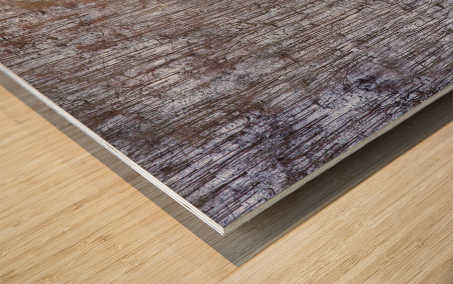 Rocky snow covered hillside at Coopers Rock at sunset Wood print