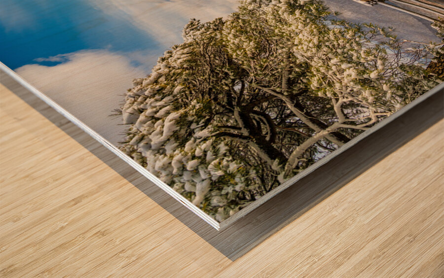 Coopers Rock overlook covered in winter snow near Morgantown Wood print