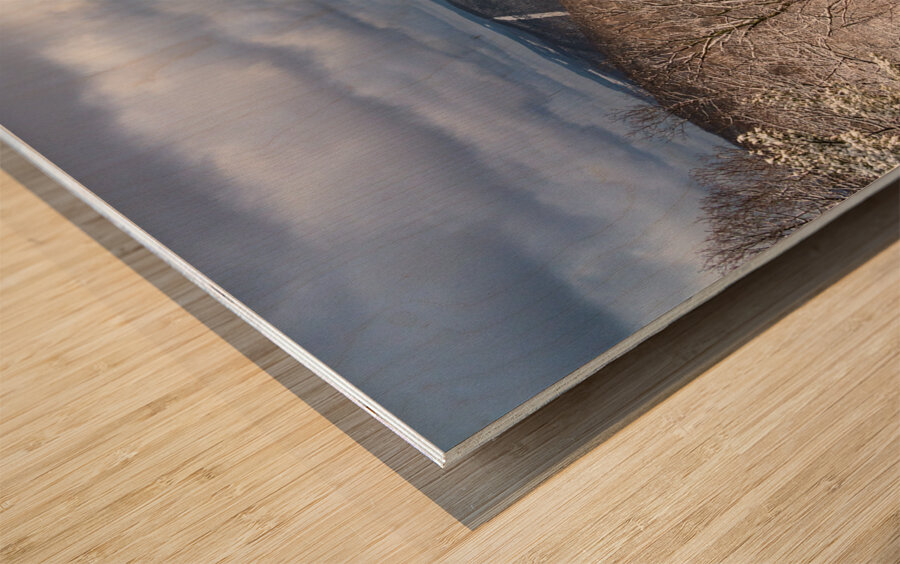 Snowy Cheat River Canyon at Coopers Rock on winter afternoon Wood print