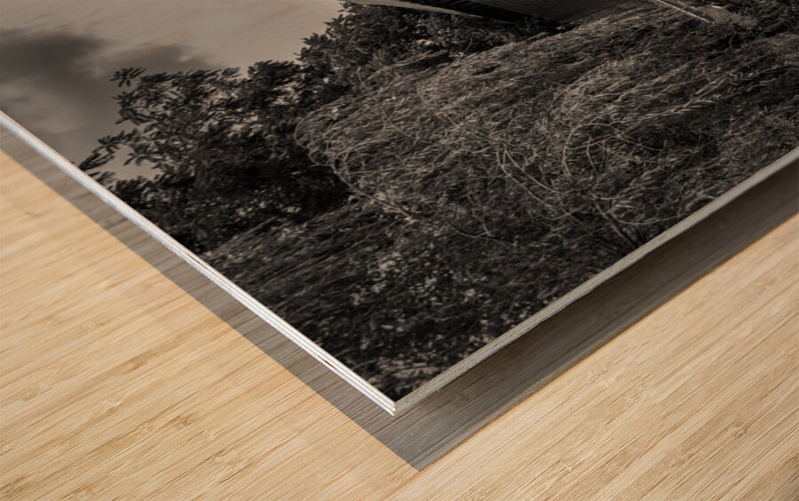 Dents Run Covered bridge near Morgantown WV in monochrome Wood print