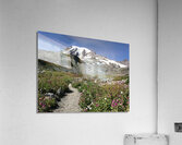 Mount Rainier National Park  Acrylic Print