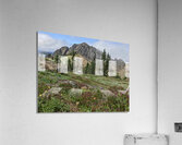 Olympic National Park  Acrylic Print