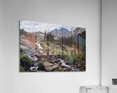Black Lake - Colorado Acrylic Print
