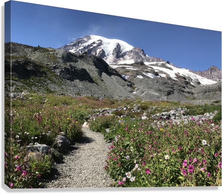 Mount Rainier National Park  Canvas Print