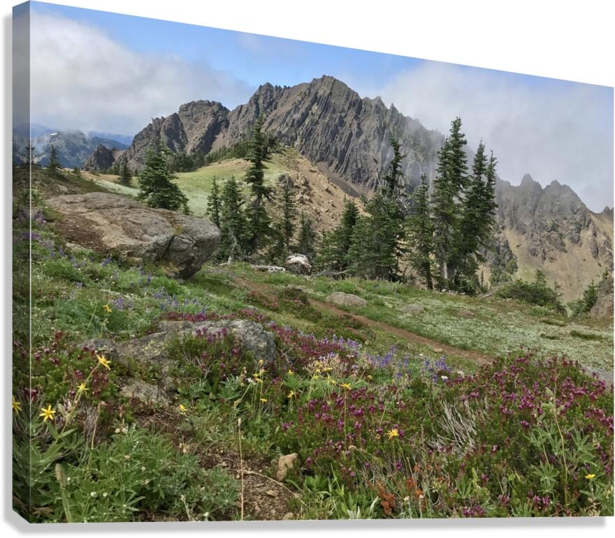 Olympic National Park  Canvas Print
