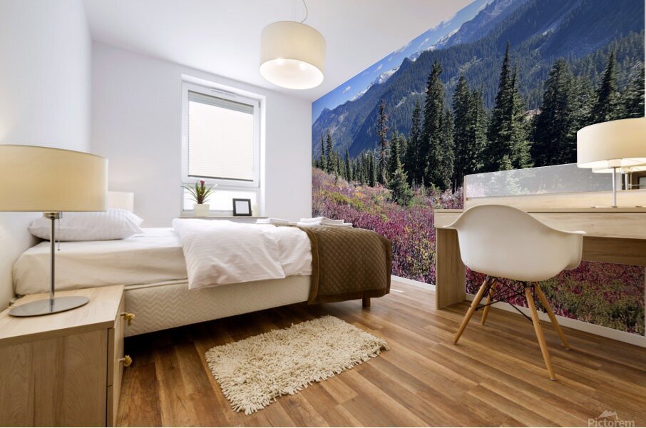 North Cascades Mural print