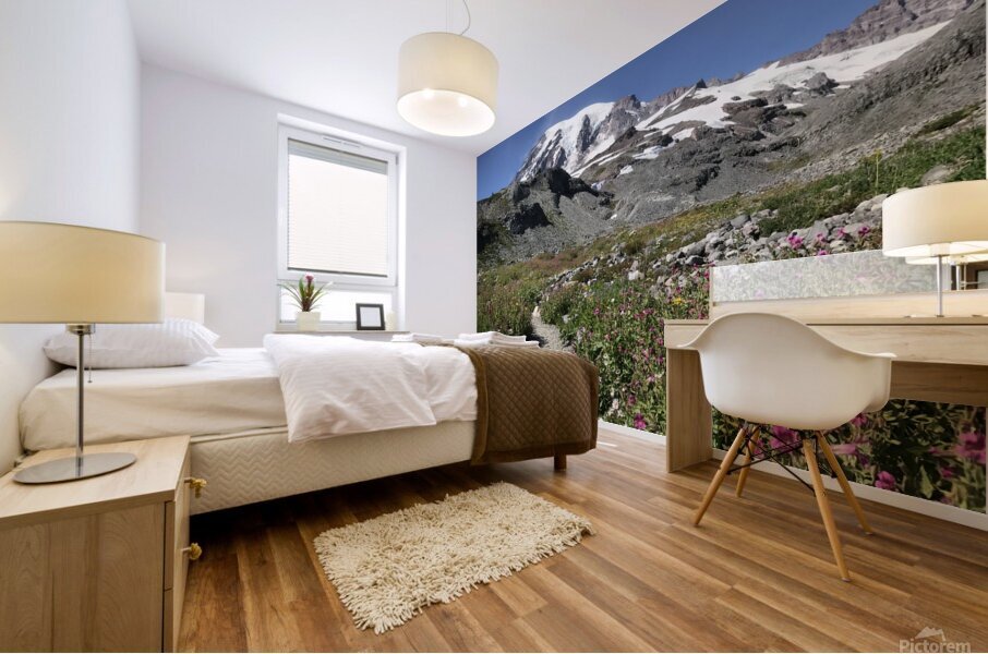 Mount Rainier National Park  Mural print