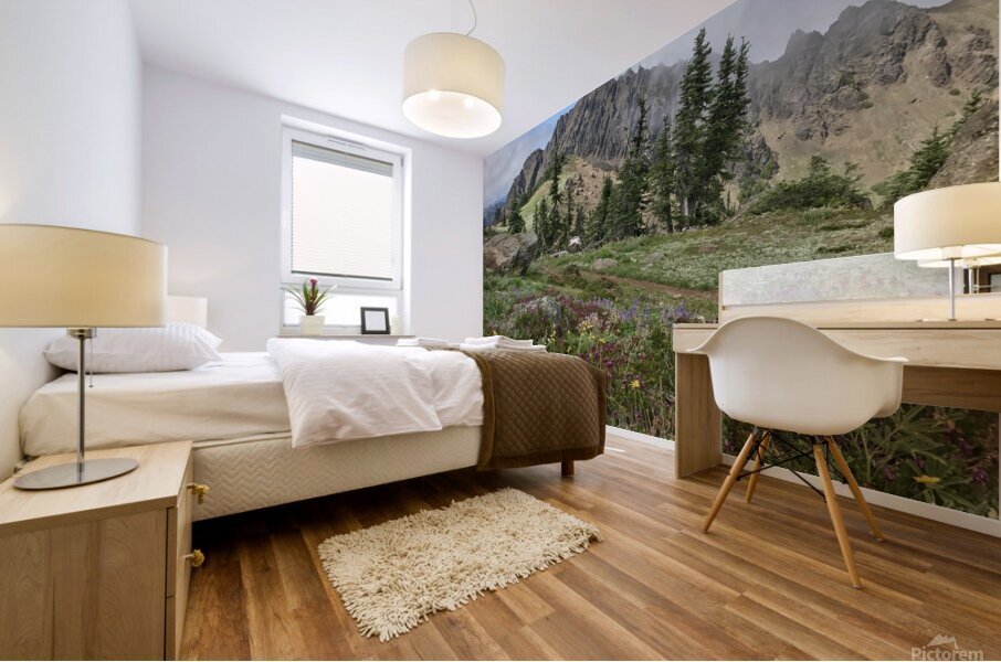 Olympic National Park  Mural print