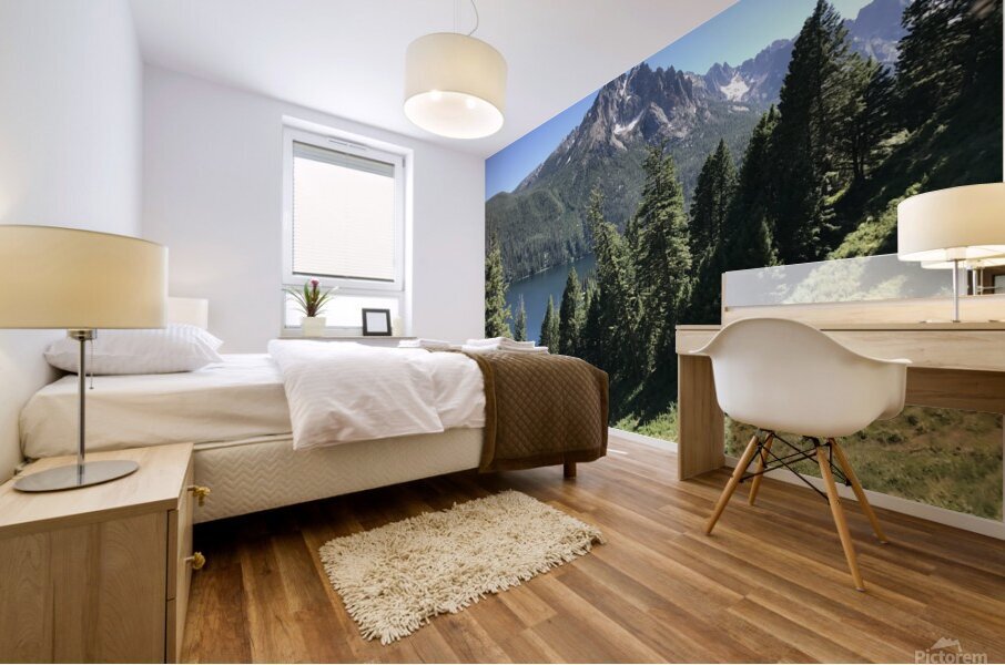Redfish Lake Mural print