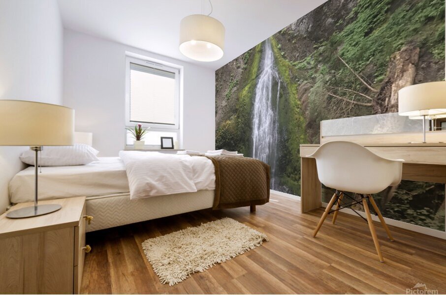 Oregon falls Mural print