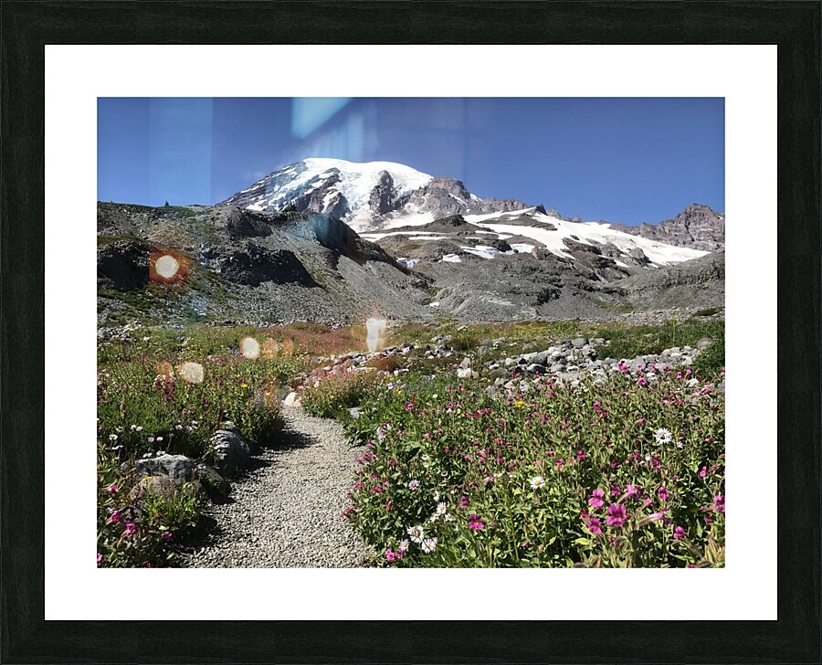 Mount Rainier National Park  Picture Frame print