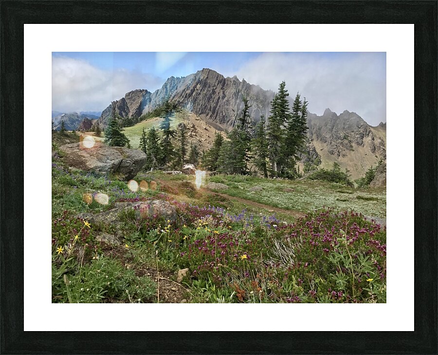 Olympic National Park  Picture Frame print