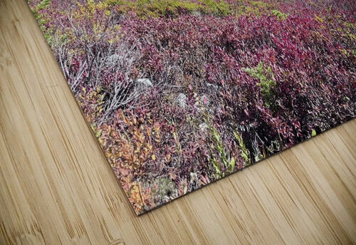 North Cascades Lou Toni Photography puzzle