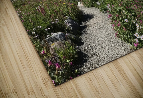 Mount Rainier National Park  Lou Toni Photography puzzle
