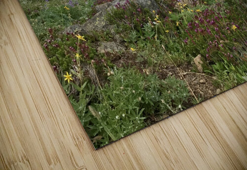 Olympic National Park  Lou Toni Photography puzzle