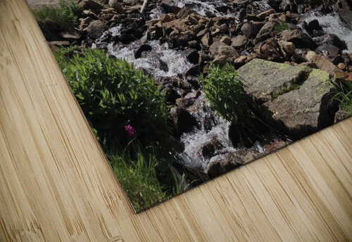 Black Lake - Colorado Lou Toni Photography puzzle