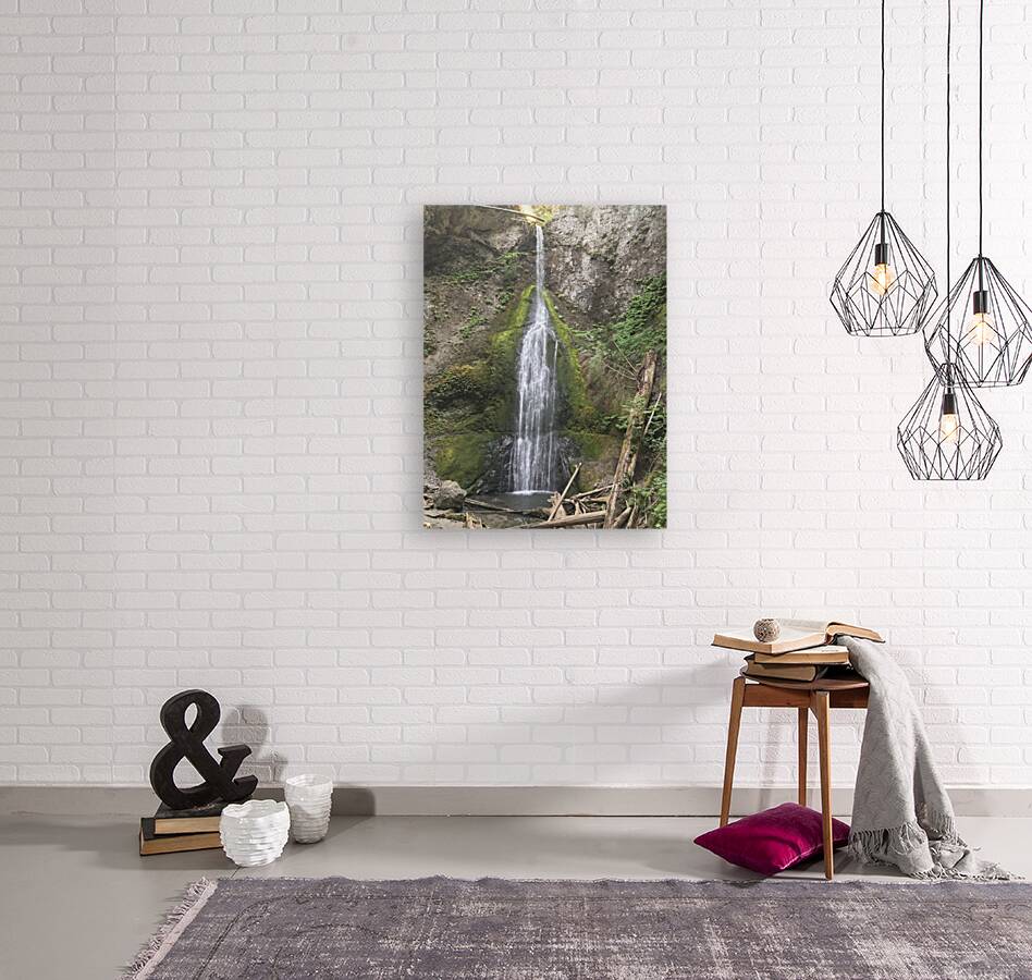 Oregon falls Reproduction