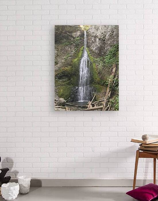 Oregon falls by Lou Toni Photography