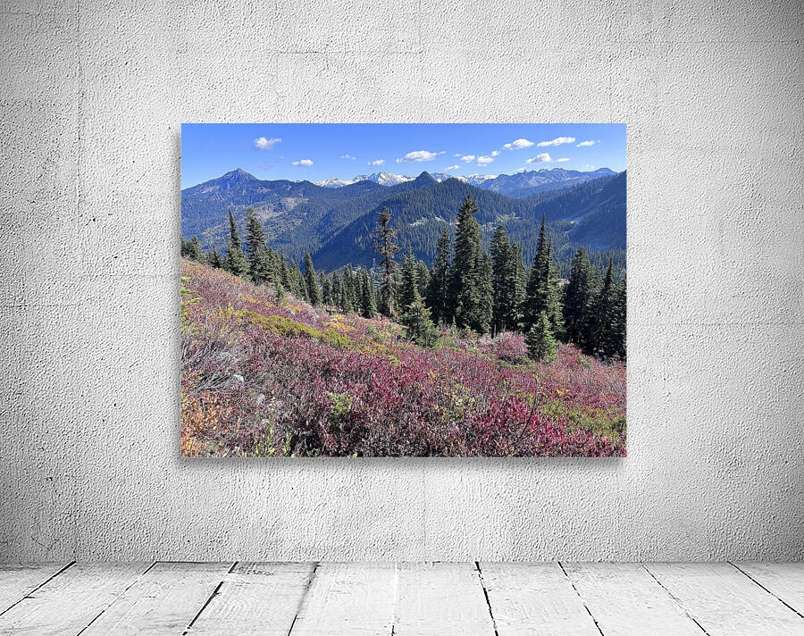 North Cascades Wall Preview