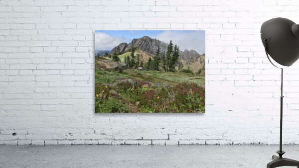 Olympic National Park  Wall Preview