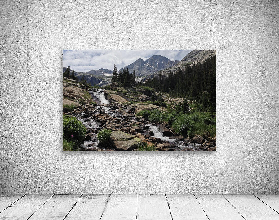 Black Lake - Colorado Wall Preview