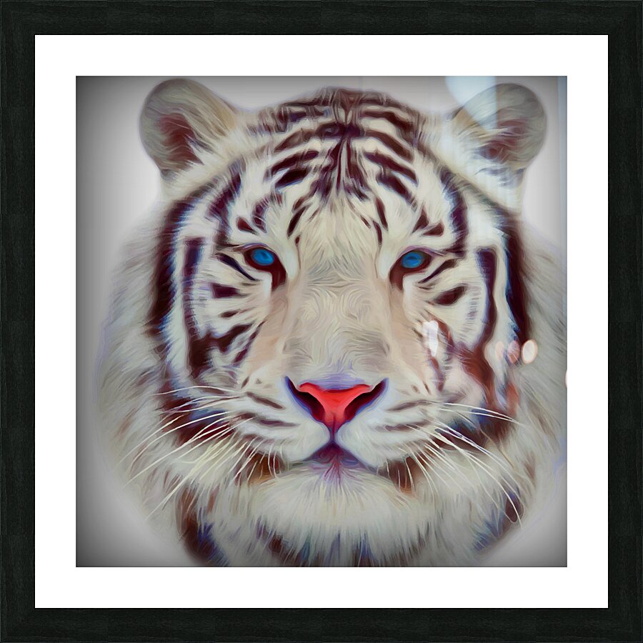  Tirage d’art